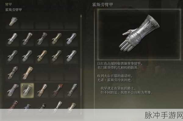 艾尔登法环深度探索，霍斯劳套装获取全揭秘