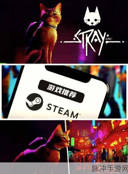 Steam暗黑单机新纪元,深渊中的光与影探秘之旅