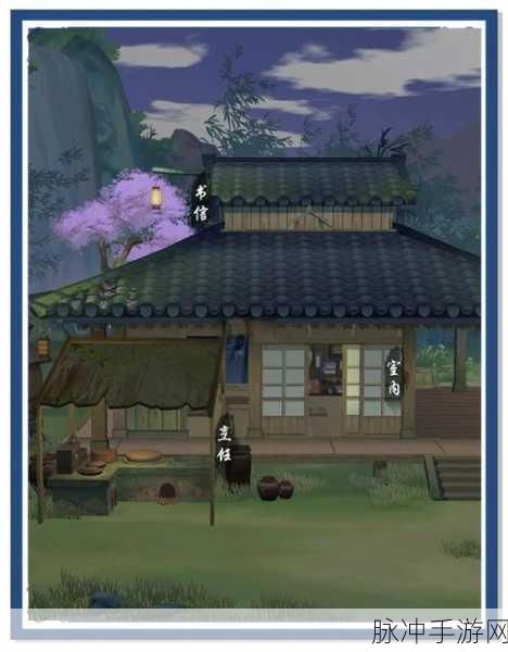 江湖悠悠，深度解析庭院行为作用与攻略秘籍