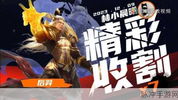 王者荣耀新视角,探索后羿的射箭之道,精准制胜的奥秘