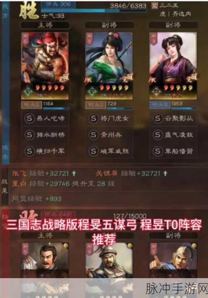三国志战棋版程昱阵容搭配全攻略
