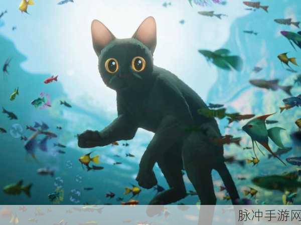 猫球球奇幻探险，诛仙世界的秘境追踪全揭秘