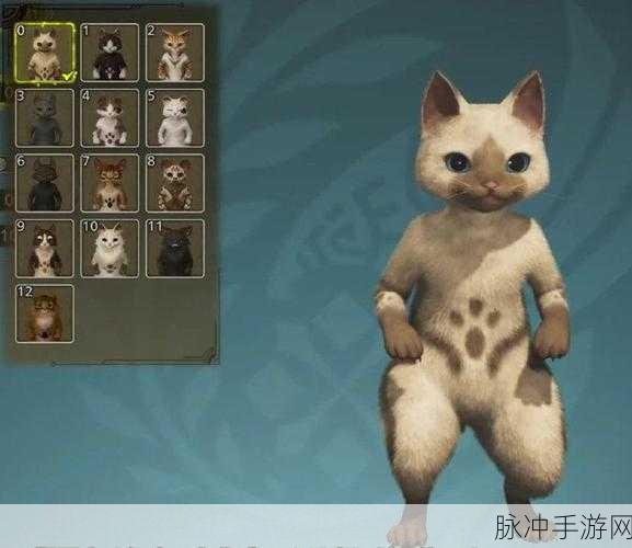怪物猎人崛起猫选指南，解锁极致游戏体验的猫咪技能搭配
