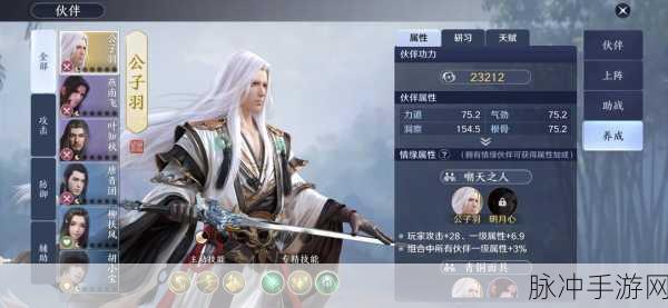 天涯明月刀手游,伙伴羁绊与资源管理策略全解析