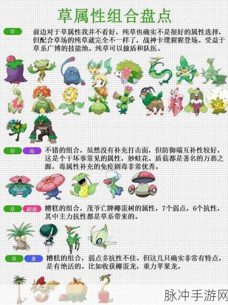 宝可梦大探险,草系辅助技能深度解析与推荐