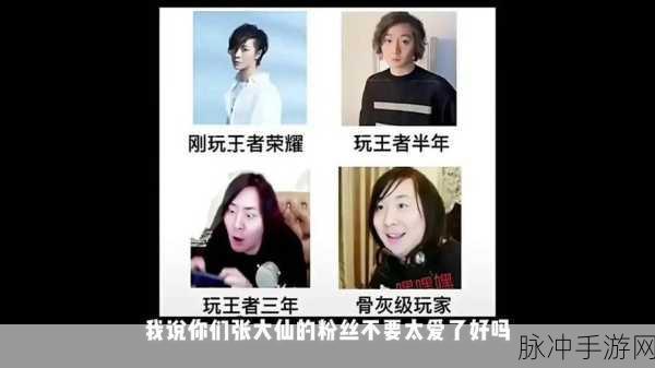 王者荣耀张大仙表情包口令揭秘，轻松获取趣味表情