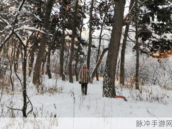 伐木工人投掷，重拾经典，畅享伐木乐趣的指尖盛宴