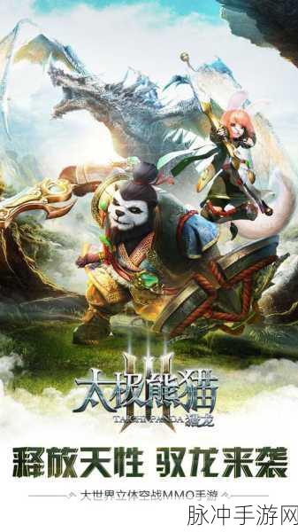 太极熊猫3，活跃度速刷秘籍，登顶排行榜不是梦！