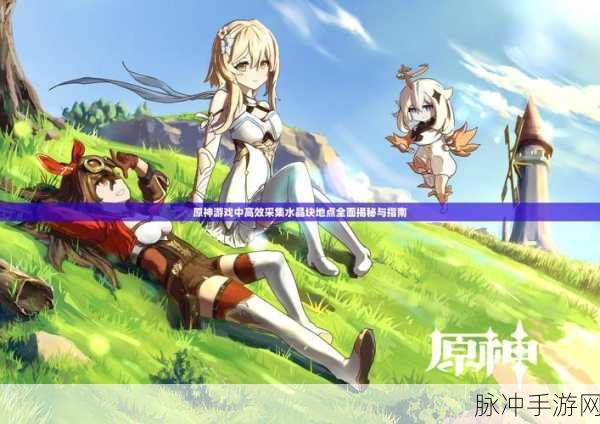 FGO凶骨速刷攻略，揭秘高效掉落地点