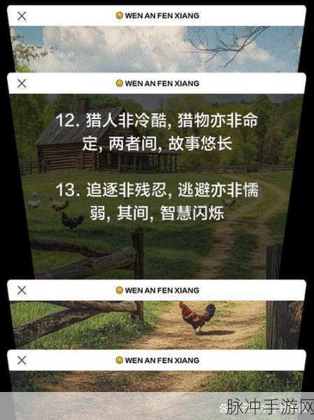 王者猎人，揭秘鱼饵与猎物的深度策略较量