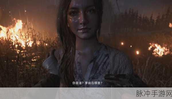 生化危机8村庄诡影难度全揭秘，挑战与机遇并存