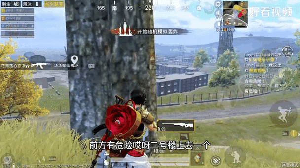 和平精英新手必看，掌握捡装备秘籍，助你步步为赢！