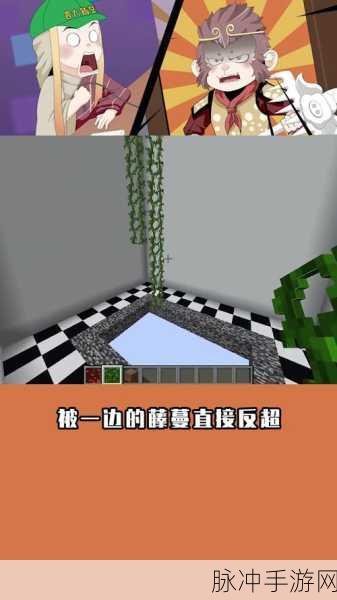 我的世界隐形藤蔓，用途广泛与制作秘籍