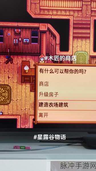 星露谷物语，阿秋教你如何饲养温顺羊儿，打造活力满满农场