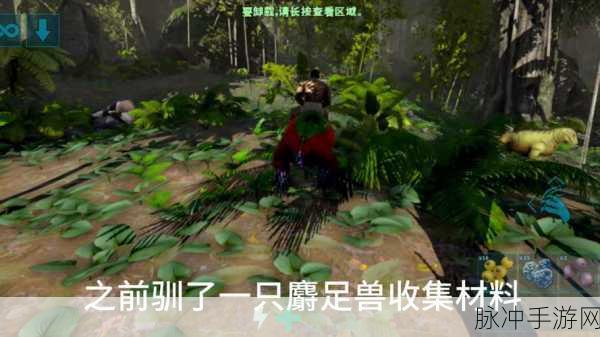 方舟生存进化手游，探寻斑马踪迹，驯服草原精灵