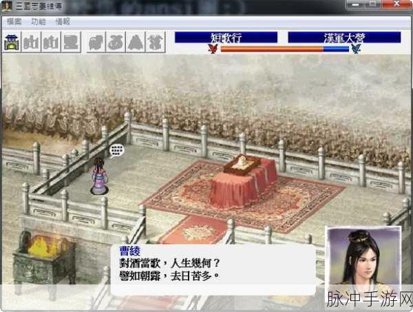 三国志姜维传,解锁秘籍,策略技巧双飞跃的征途