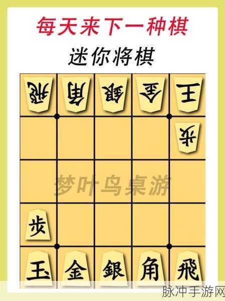棋王争霸赛，轻松休闲的益智游戏新选择