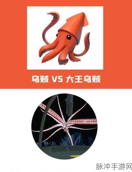 深海奇遇,解锁创造与魔法鲨鱼大全的奇幻之旅
