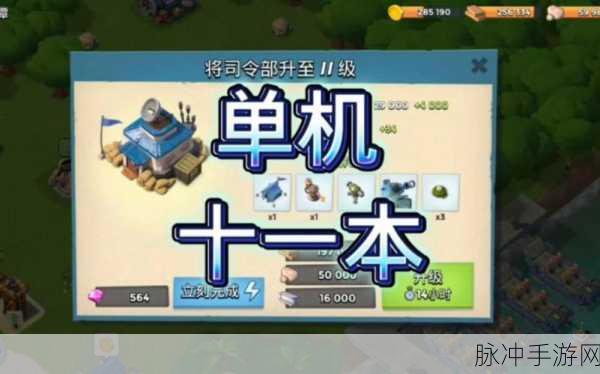 海岛奇兵升级攻略，揭秘10本升11本所需资源