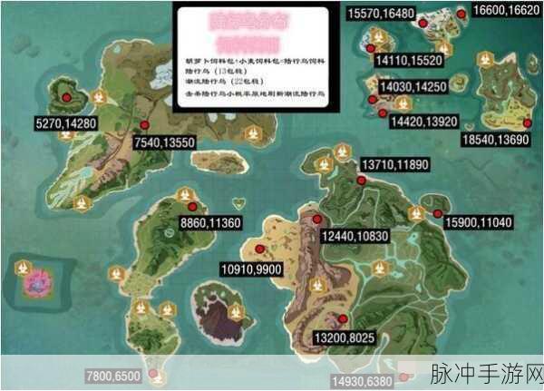 创造与魔法奇遇，解锁秃子伙伴的独家秘籍