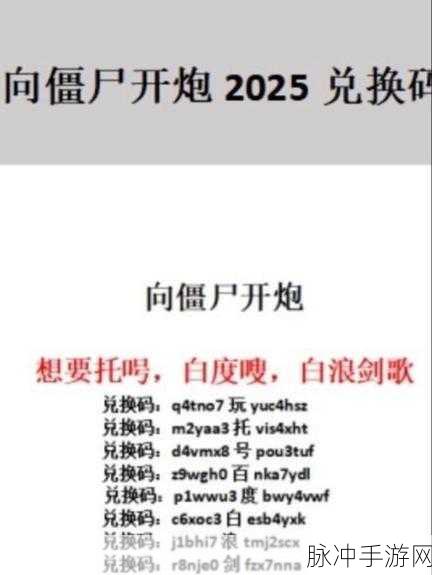 向僵尸开炮兑换码大揭秘，最新获取攻略与独家分享！