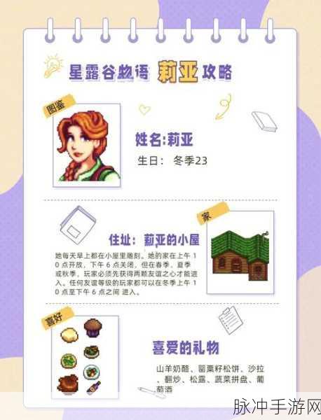 星露谷物语,解锁人物好感度的秘密攻略