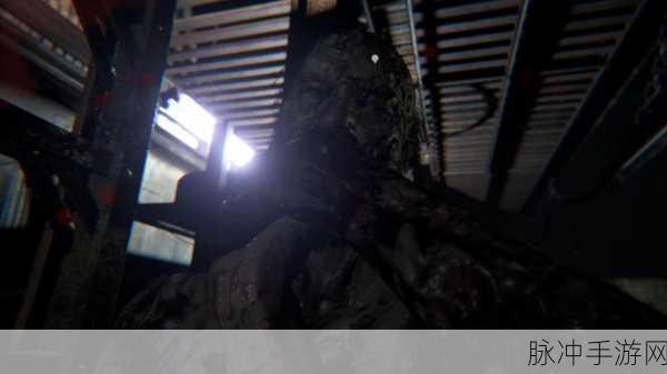 生化危机7全boss战攻略深度解析