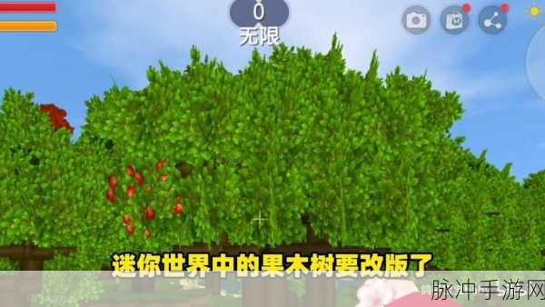 迷你世界探索，细果木树枝的获取秘籍