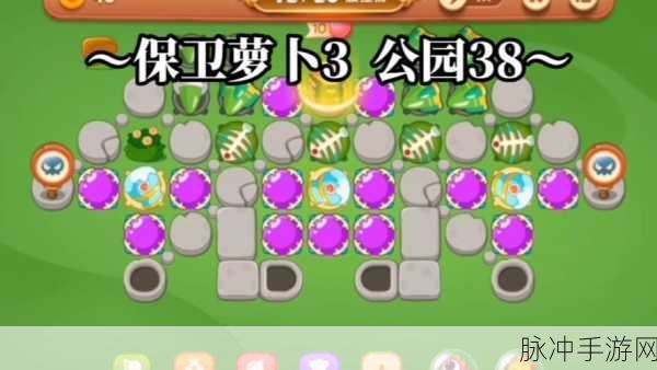 保卫萝卜3公园第48关,策略布局与技巧大揭秘