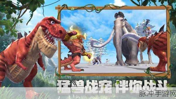 穿越时空的祈愿，揭秘创造与魔法的奇幻交融之旅