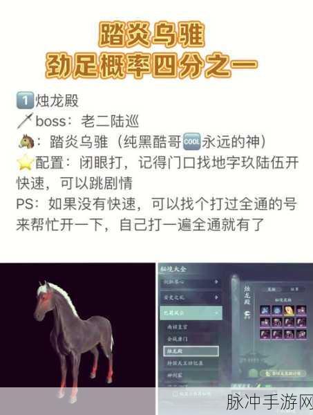 剑网3中顶级马匹获取全攻略