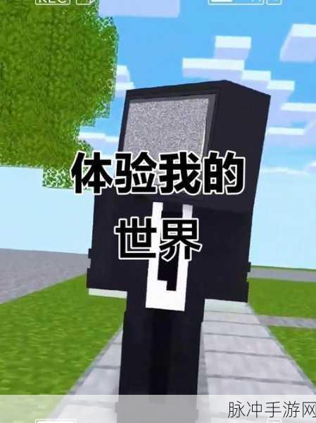 我的世界，探索无尽创造的奇妙之旅，你绝对不容错过！