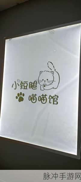 甜蜜烘焙之旅，忙碌猫咪甜品店最新版本等你来尝鲜