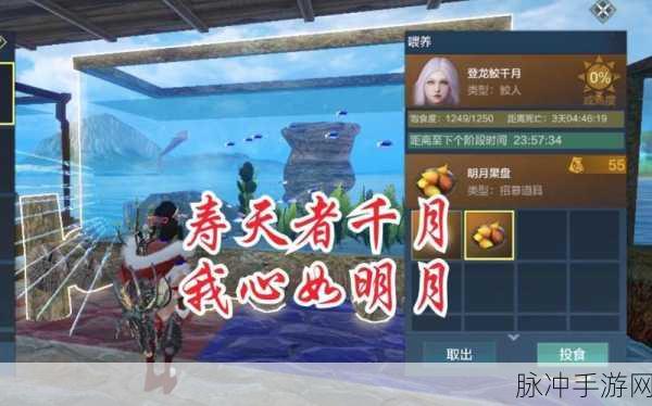 妄想山海明月盛宴获取全攻略