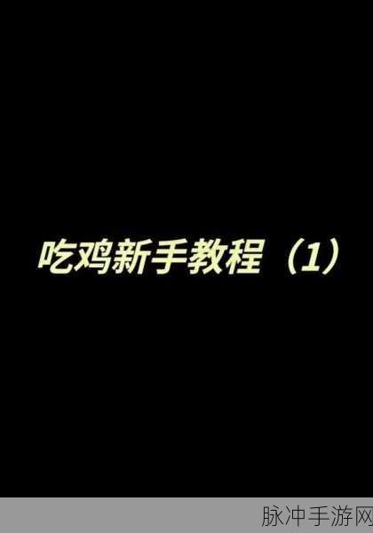 和平精英高手秘籍,进圈神器使用全攻略,助你称霸战场!