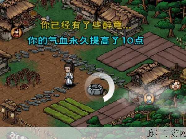 烟雨江湖薛龙城获取全攻略,解锁刀法高手的传奇之路