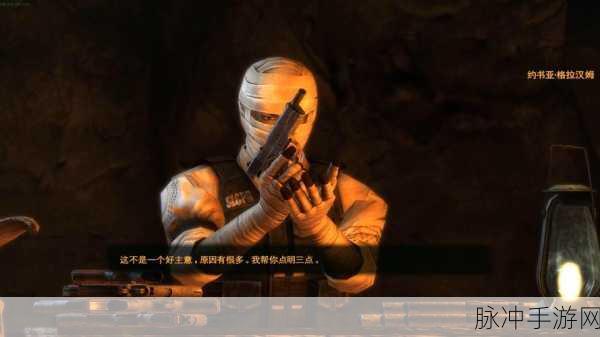 辐射新维加斯ED升级，废土世界的全新探险篇章
