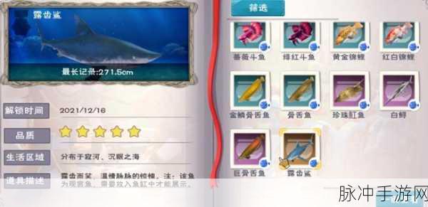 创造与魔法鲨鱼刷新地点全揭秘