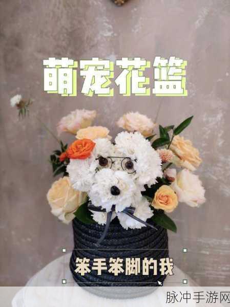 光明勇士肥啾滚滚坐骑全攻略,萌宠在手,速度我有