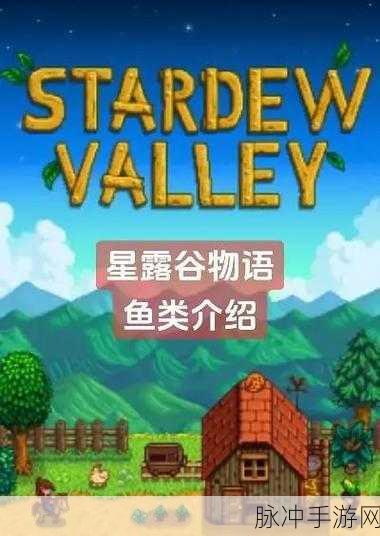 星露谷物语探索，海草与绿藻的异同大揭秘