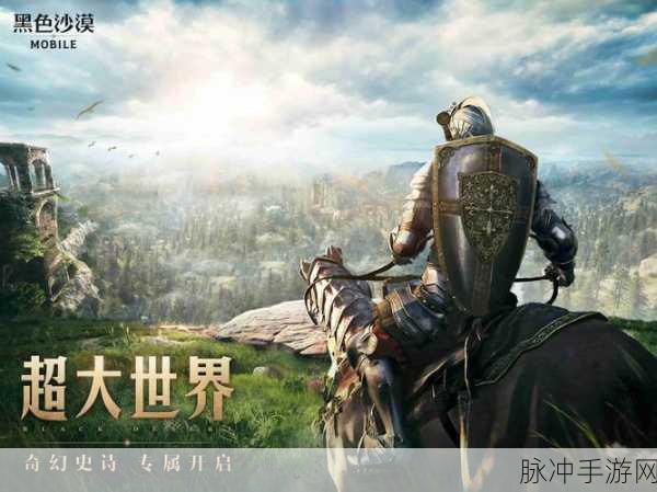 黑色沙漠财报揭秘,端游中国之旅稳健前行,手游玩家期待满满