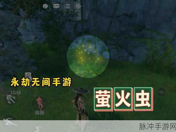 永劫无间探险秘籍,点亮夜空,萤火虫位置全探索