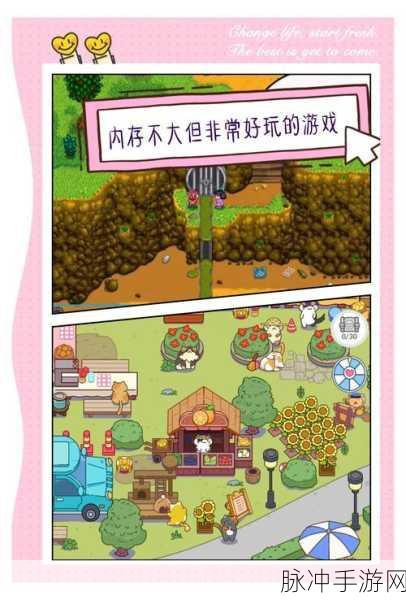 探索猫科牙医的奇妙世界，一款休闲益智新游等你来体验