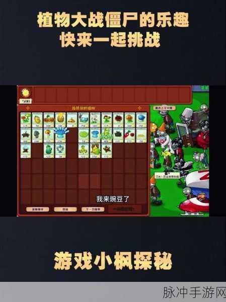 植物大战僵尸秘籍揭秘，如何巧妙输入指令提升游戏乐趣