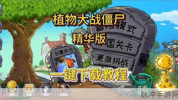 植物大战僵尸秘籍揭秘,如何巧妙输入指令提升游戏乐趣