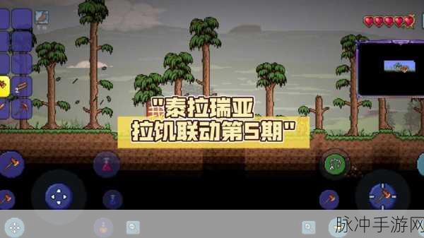 泰拉瑞亚饥荒联动，揭秘微光之谜