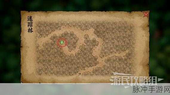 大侠立志传,密室宝藏全揭秘,探险高手的必备秘籍