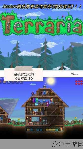 泰拉瑞亚Steam联机难题，解锁你的联机之旅
