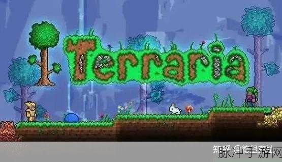泰拉瑞亚Steam联机难题,解锁你的联机之旅