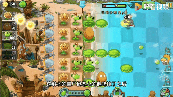 植物大战僵尸2芦笋战机,横扫三行僵尸的空中霸主